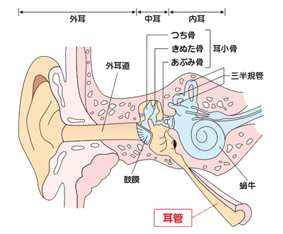 耳管狭窄症 耳管炎