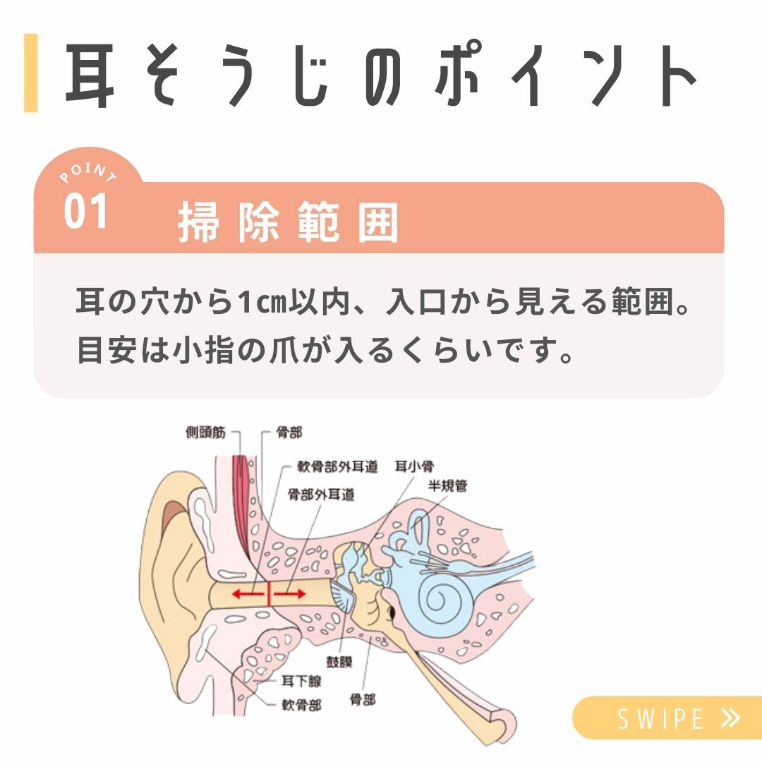 医療の豆知識